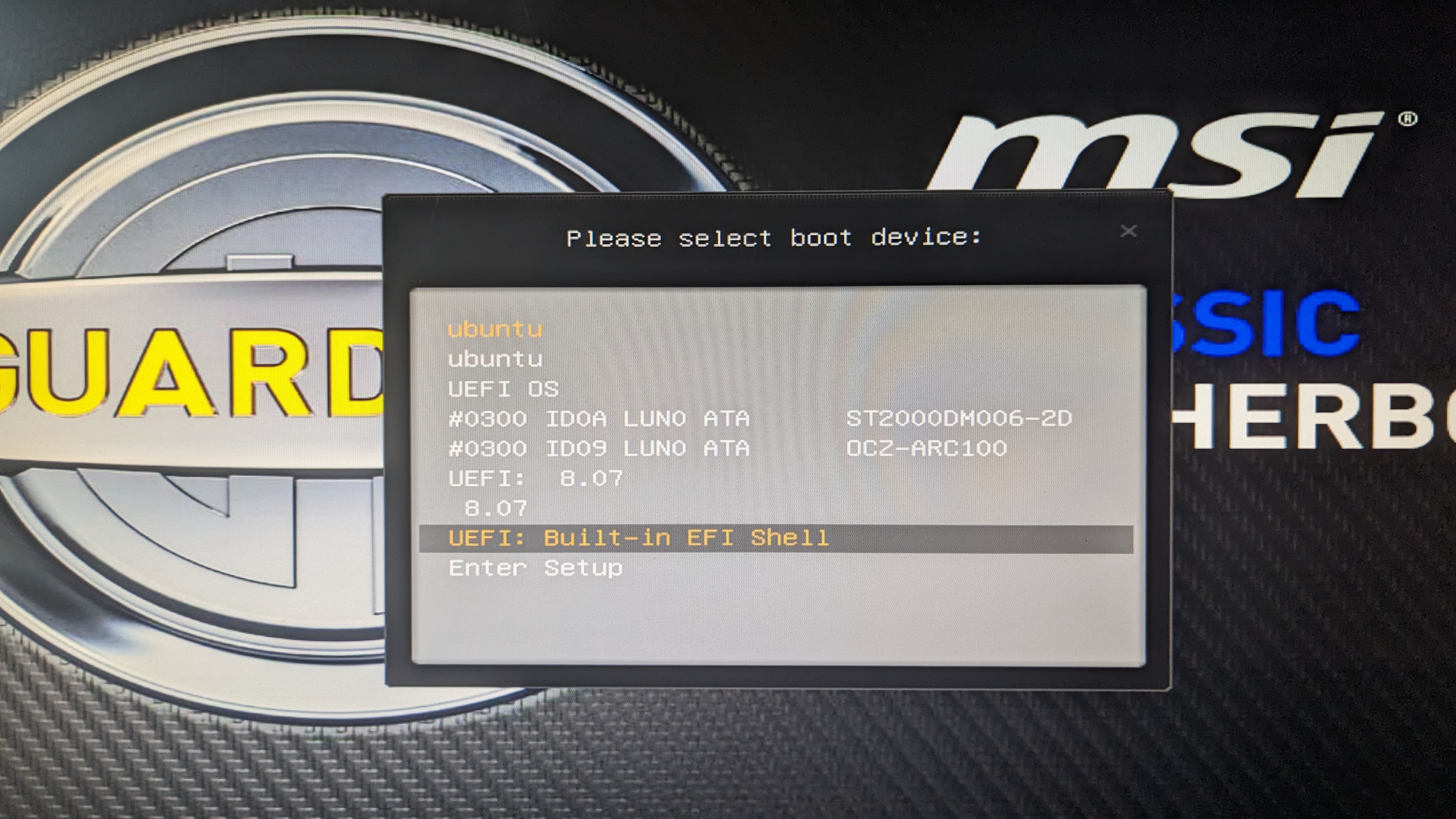 selecting the EFI shell boot option "picture of the monitor showing boot options"
