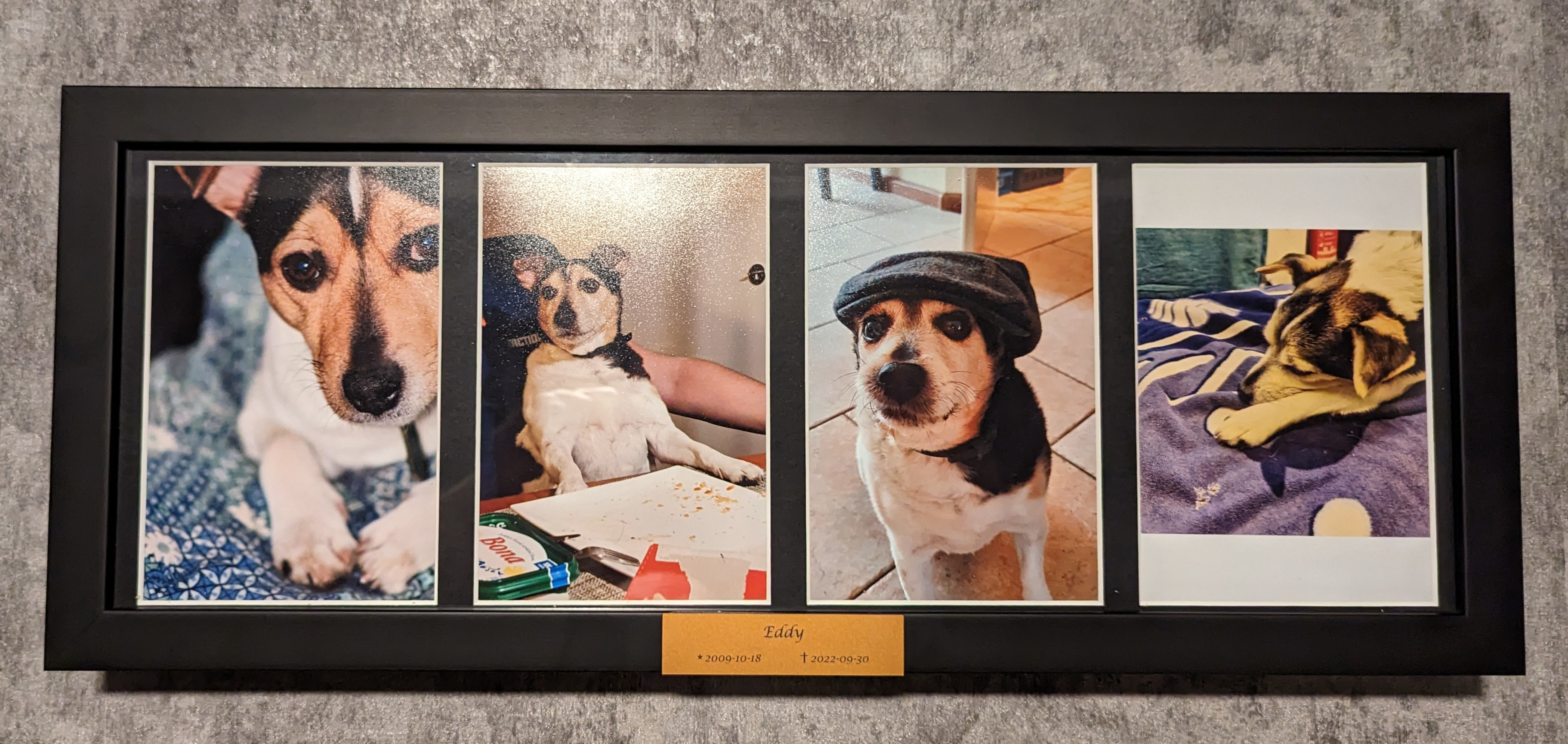 A lovely memory of Eddy A black picture frame with 4 pictures of Eddy ranging from young to old